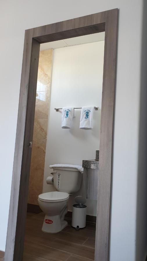 Sea Horse Apartment