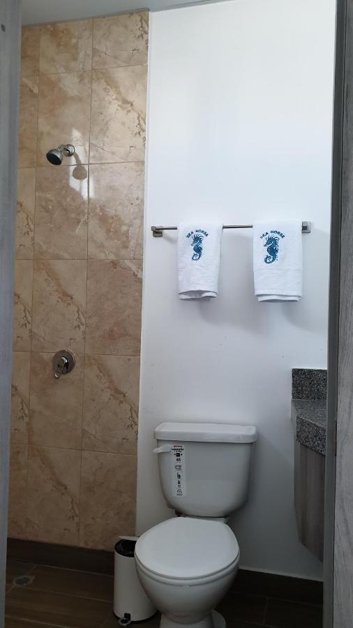 Apartment Sea Horse *